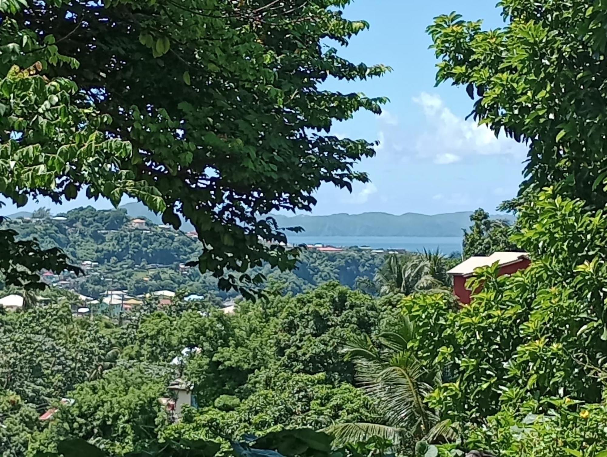 Garifuna Retreat Apartment Kingstown Exterior foto